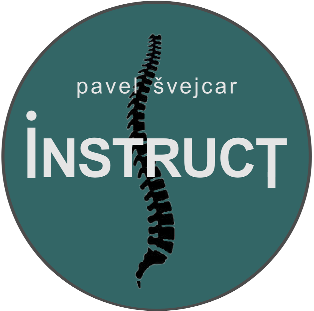 Instruct Logo